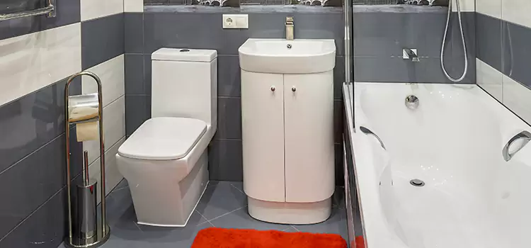 Hansgrohe Shaving Mirror Matthews